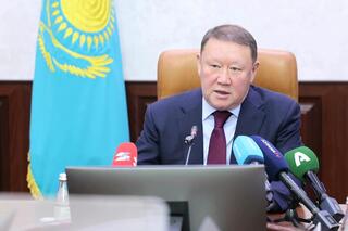 Конституционная реформа — конкретный шаг, определяющий будущий вектор развития Казахстана