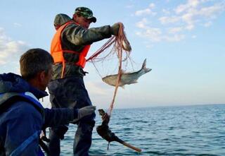 «Костанайский осетр» готов увеличить производственную мощность в 2 раза