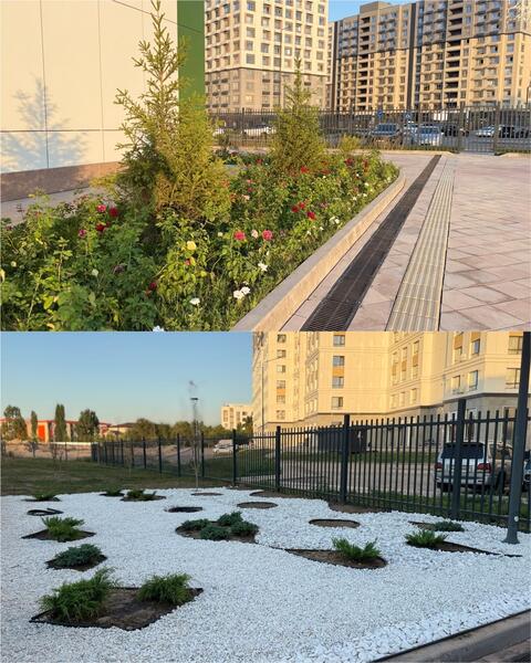 Ко Дню города в Алматы определили 16 участников конкурса «Лучшая зеленая школа»