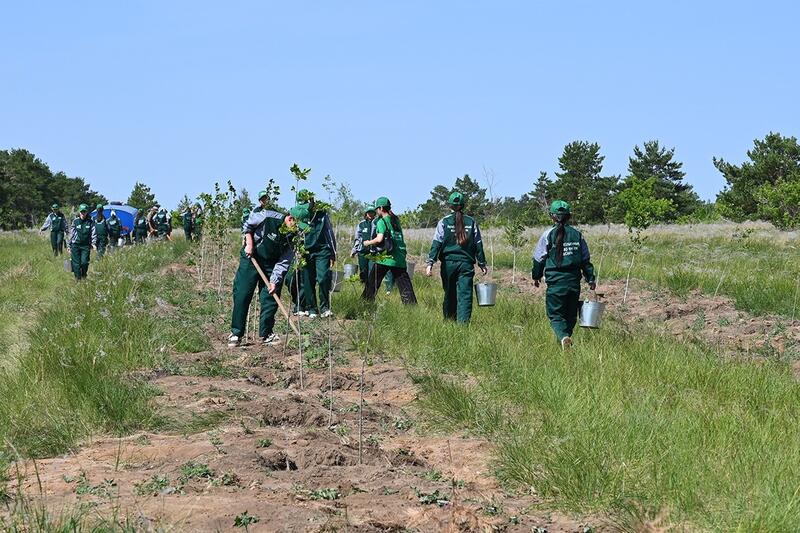 Экологическое воспитание: забота о природе – в руках молодёжи