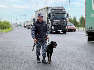 Служебная собака обнаружила гашиш в авто в столице