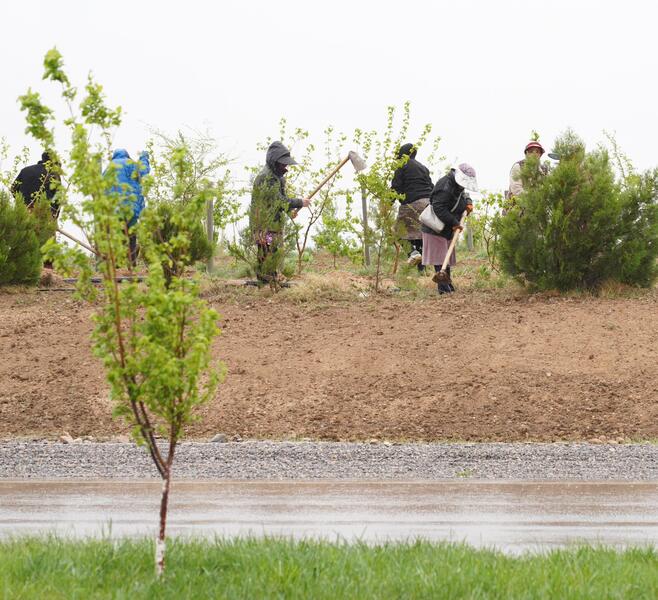 В ТУРКЕСТАНЕ ОБСУДИЛИ ХОД СОЗДАНИЯ ЭКОПАРКА