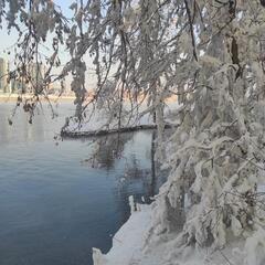 Зимнее купание в ВКО: соблюдаем правила безопасности