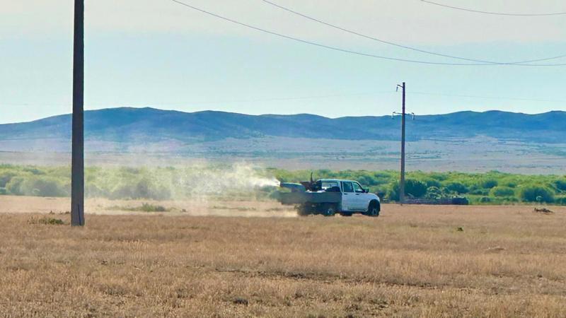 Работа на упреждение: В Карагандинской области обработано 75 тыс. га от саранчи