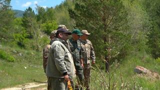 В лесах ВКО установят пост системы раннего обнаружения пожаров