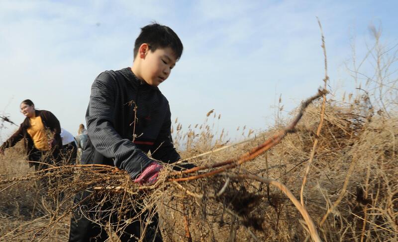 В Мангистауской области в рамках экологической акции «Тазару күні» прошёл масштабный субботник