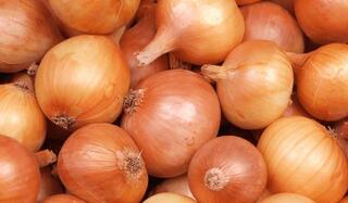 Прогноз балансов лука репчатого и картофеля в Казахстане. Сентябрь 2025