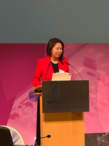 Казахстан делится опытом цифровизации на площадке первого в истории Диалога высокого уровня ВОИС