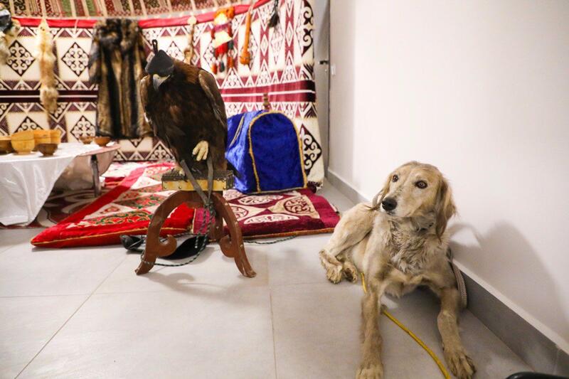 «Наурызнама-2026»: показательное выступление по национальным видам спорта состоится в Астане