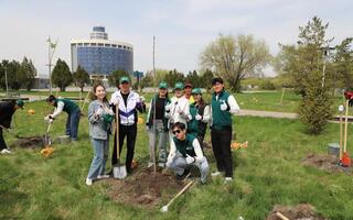 «Таза Қазақстан»: в Жетісу за 2 последних года построено и модернизировано 29 парков, высажено около 250 тыс. саженцев