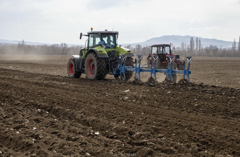 В Талдыкоргане активно ведутся весенние полевые работы