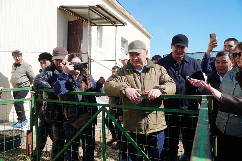 Калмыцкая порода КРС набирает популярность в Акмолинской области