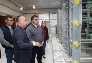 ТУРКЕСТАН: ПТИЦЕФАБРИКА В САРЫАГАШЕ ОБЕСПЕЧИВАЕТ РЕГИОН ОТЕЧЕСТВЕННОЙ ПРОДУКЦИЕЙ