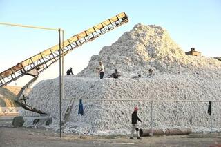 ТУРКЕСТАН: В ЖЕТЫСАЙСКОМ РАЙОНЕ ПРОВЕДЕН МОНИТОРИНГ РАБОТЫ ХЛОПКООБРАБАТЫВАЮЩИХ ЗАВОДОВ