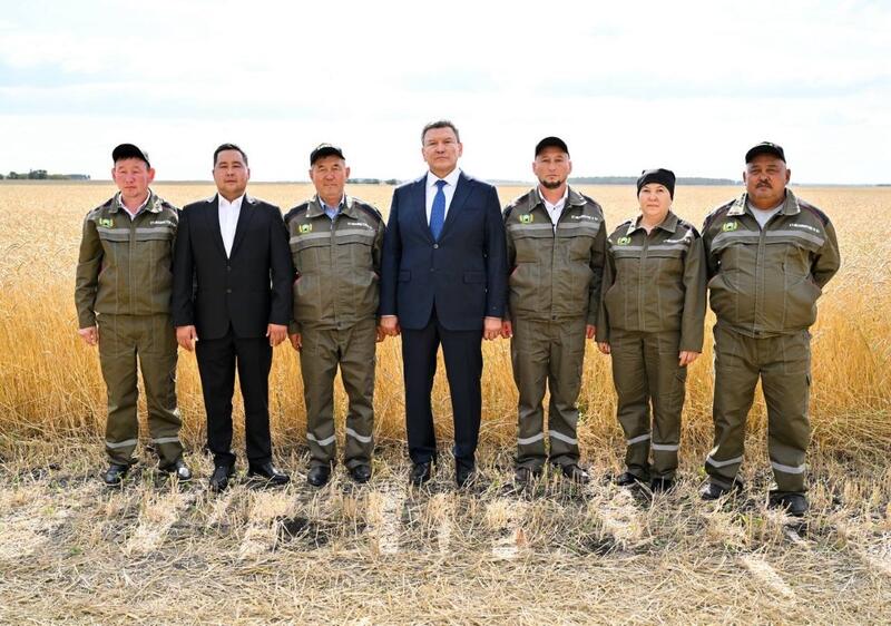 Аким области Гауез Нурмухамбетов доложил Президенту о ходе уборочной кампании в СКО