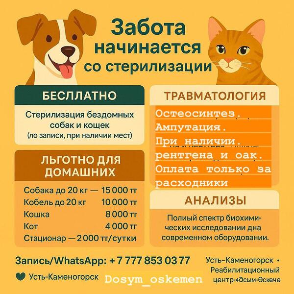 Акция от реабилитационного центра «ДОСЫМ-ОСКЕМЕН»!