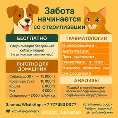 Акция от реабилитационного центра «ДОСЫМ-ОСКЕМЕН»! 