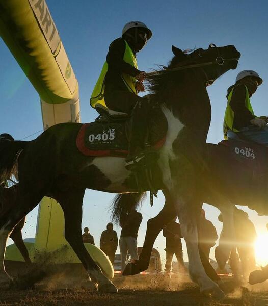В марафоне-скачках «Ұлы дала жорығы» Актюбинская область заняла II место