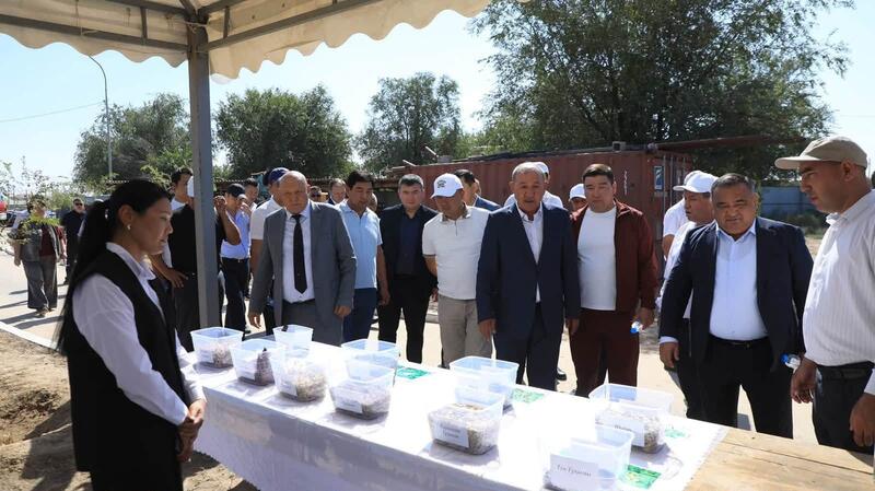 АРЫСТЫҢ АҒАШ ӨСІРУ ТӘЖІРИБЕСІ ТҮРКІСТАН ОБЛЫСЫНЫҢ АУДАН-ҚАЛАЛАРЫНА ТАНЫСТЫРЫЛДЫ