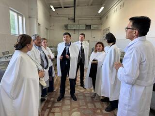 Международный семинар по разведению племенного КРС прошел в «Асыл Түлік»