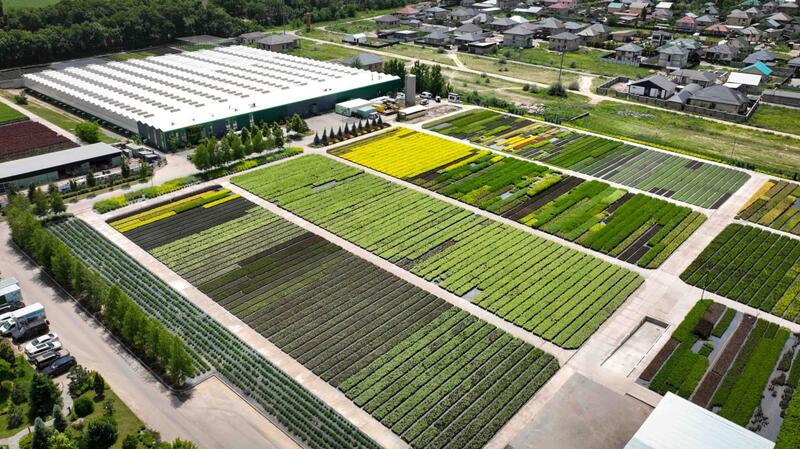 Глава государства посетил тепличный комплекс GREEN ЕСО