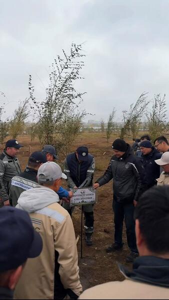 В Караганде появилась «Аллея энергетиков»