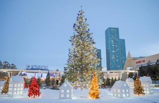 Министр поздравил ветеранов и сотрудников ОВД с новым годом