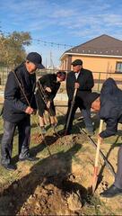 В селе Бодене в рамках акции «Таза Қазақстан» высажено более тысячи саженцев