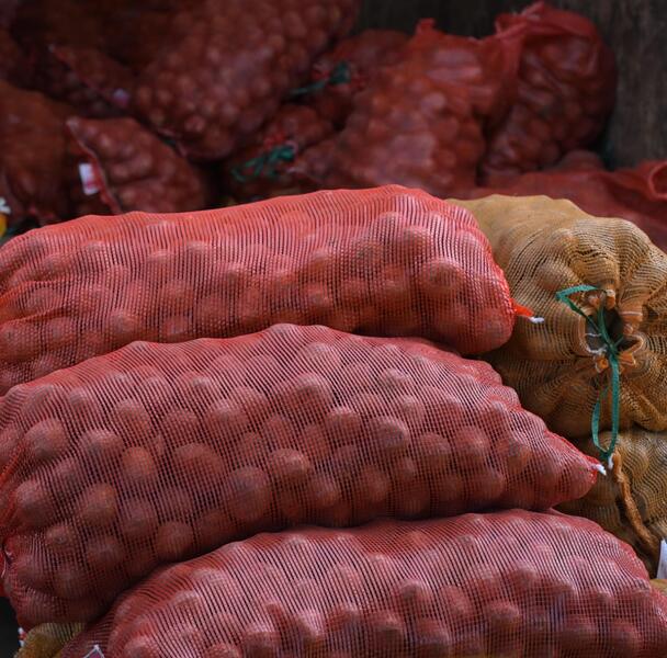 Павлодарский вкус – на столичные рынки: сельхозярмарка в Астане прошла с аншлагом