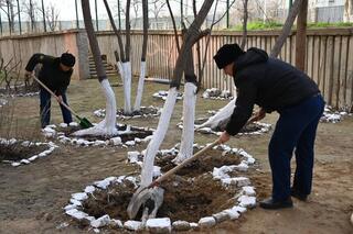 В День очищения военнослужащие провели в гарнизонах экологические акции