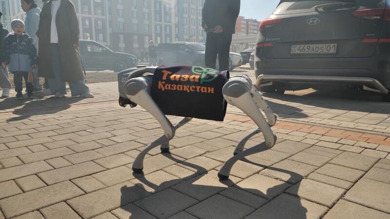 40 тысяч человек и 100 тонн мусора: как прошёл «Таза аула» в Астане