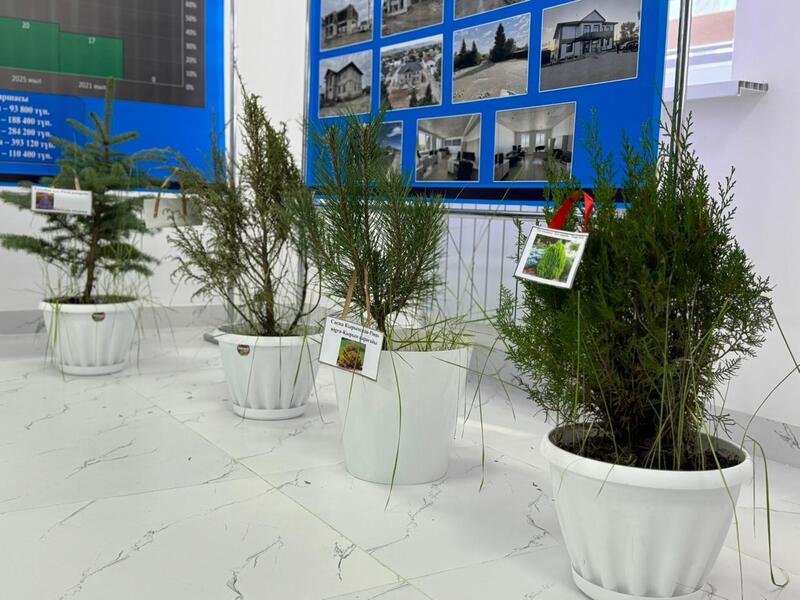 В Кегенском районе отметили День работников лесного хозяйства