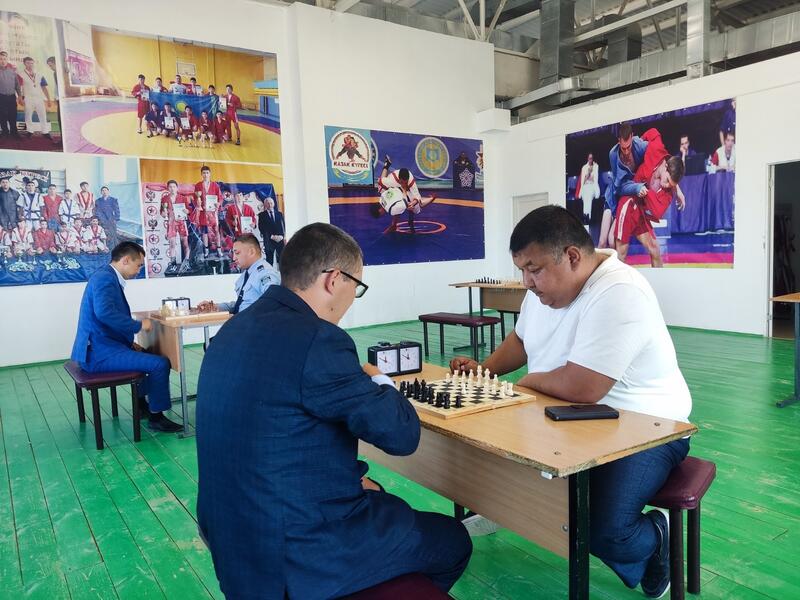 Год рабочей профессии: В Бокейординском районе проходит турнир по шахматам