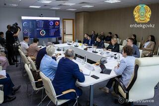 Цифровизация социально-трудовой сферы: вице-министр провел презентацию информационных систем для мажилисменов