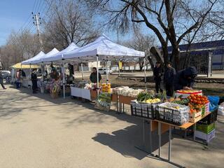 Ярмарка сельхозпродукции в Алатау прошла в день республиканского референдума