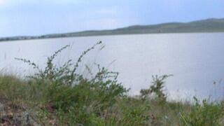 Новая точка туризма: зона отдыха и санаторий должны появиться на озере Семызбугы в Карагандинской области