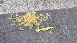 Капсулы с маслом каннабиса: в Астане у студента изъяты наркотики в значительном размере