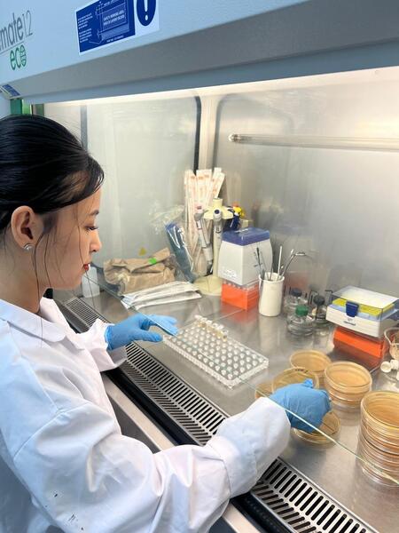 Ученые разрабатывают растительную БАД для укрепления иммунитета и профилактики диабета