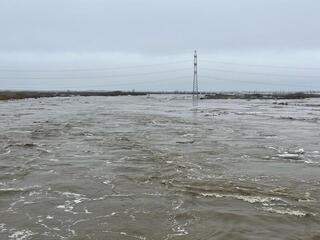 Министерство здравоохранения Республики Казахстана опровергает распространяемую информациию о заражении питьевой воды в зонах затопления