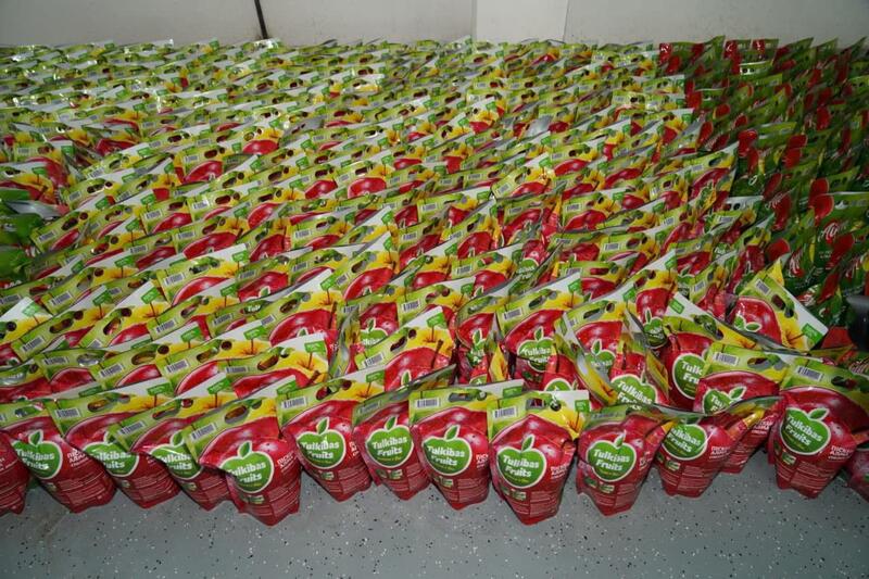 Завод по глубокой переработке фруктов и ягод запустили в Туркестанской области