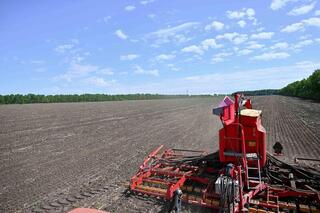 72,4% сельхозугодий засеяно в Казахстане