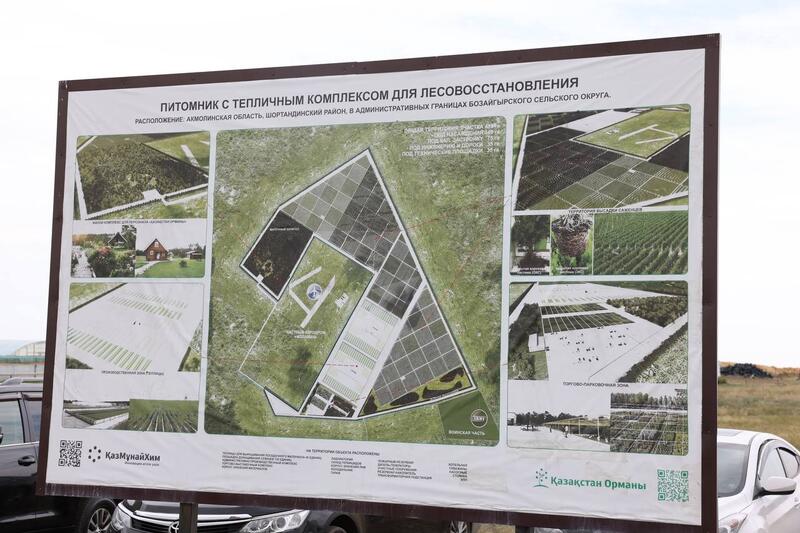 В Акмолинской области обсудили развитие современных лесных питомников