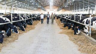 Казахстан планирует увеличить экспорт мяса до 50 тыс. тонн в год