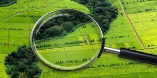 ИЗВЕЩЕНИЕ о проведении конкурса по предоставлению права временного возмездного землепользования (аренды) для ведения крестьянского или фермерского хозяйства, сельскохозяйственного производства в городе Темиртау Карагандинской области