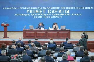 Правительственный час в МВД: приоритет — общественная безопасность