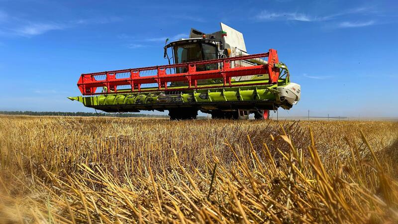 Уборочная кампания-2025 в ВКО: стабильный урожай и поддержка аграриев