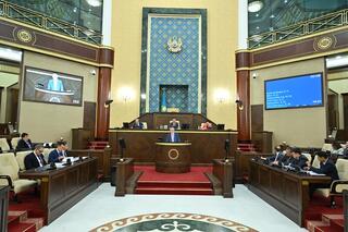 Мажилис ратифицировал Протокол с положениями по регулированию внешней электронной торговли в рамках ЕАЭС