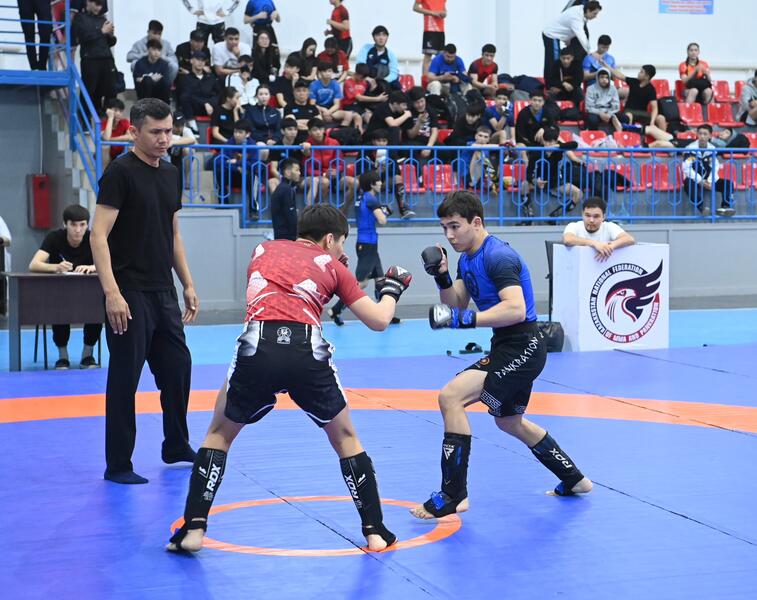 В Кызылорде состоялась церемония открытия Чемпионата Казахстана по панкратиону