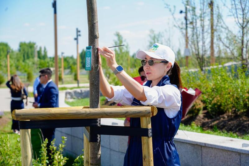 Каждому новорожденному - по дереву: необычную экоакцию провели в Астане