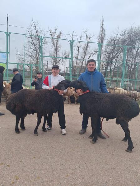 Дархан Станбеков — яркий пример современной сельской молодёжи, для которой труд на земле стал не только делом, но и призванием